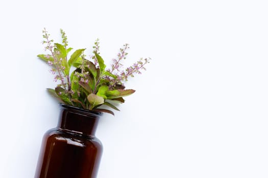 Essential oil bottle with fresh holy basil leaves and flower on white background.
