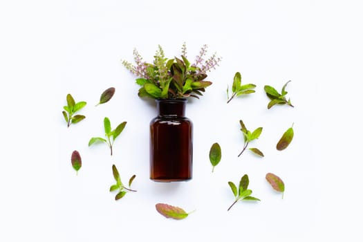 Essential oil bottle with fresh holy basil leaves and flower on white background.