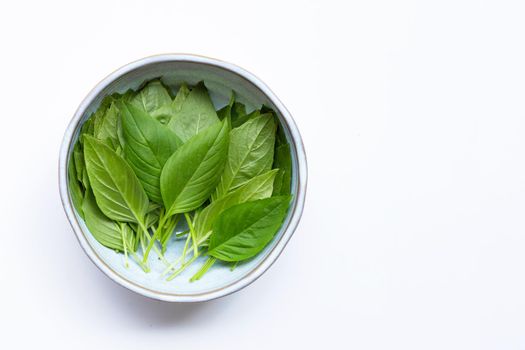 Sweet Basil leaves in bowl on white background. Copy space