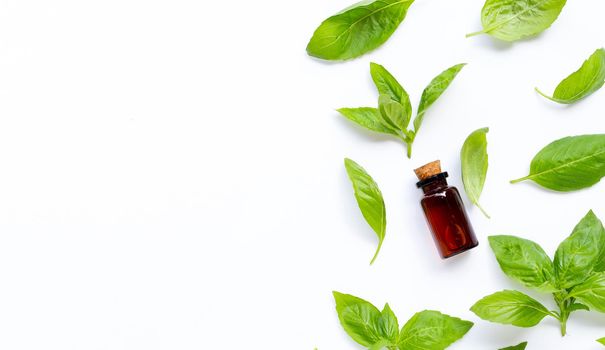 A bottle of essential oil with fresh basil leaves on white background.