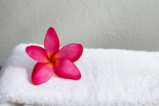 Red plumeria on white towel. Spa treatment concept