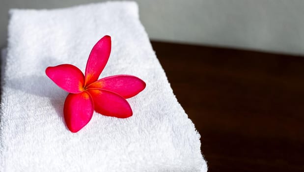 Red plumeria on white towel. Spa treatment concept