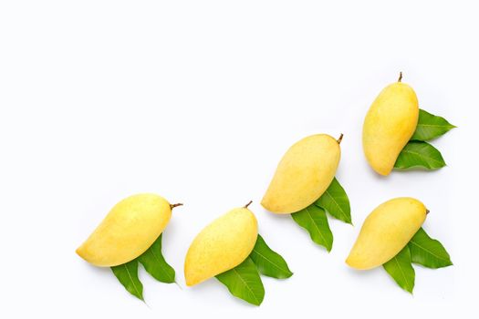 Tropical fruit, Mango  on white background. Top view