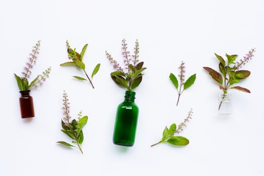 Essential oil bottles with fresh holy basil leaves and flower on white background.