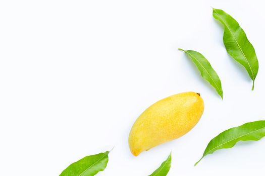 Tropical fruit, Mango with leaves on white background. Top view