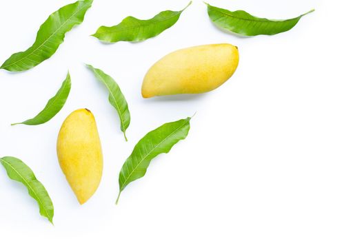 Tropical fruit, Mango with leaves on white background. Top view