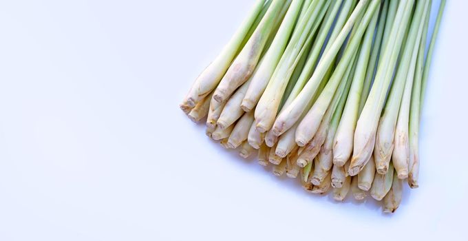 Fresh lemongrass on white background.