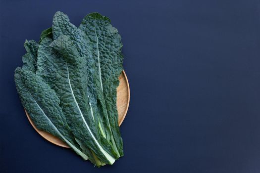 Fresh organic green kale leaves on dark background.