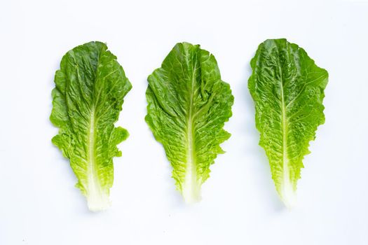 Fresh romaine lettuce isolated on a white background