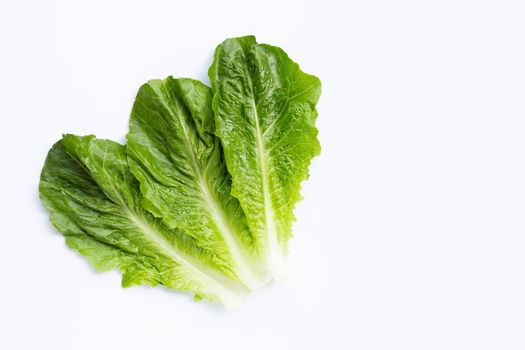 Fresh romaine lettuce isolated on a white background