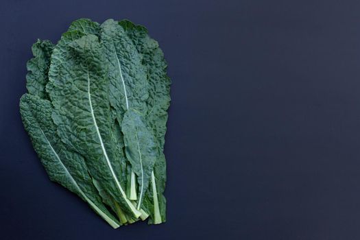 Fresh organic green kale leaves on dark background.