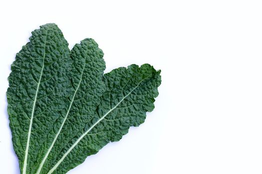 Fresh organic green kale leaves on white background.