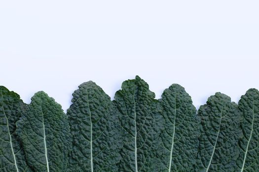 Fresh organic green kale leaves on white background.