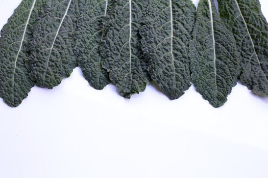 Fresh organic green kale leaves on white background.