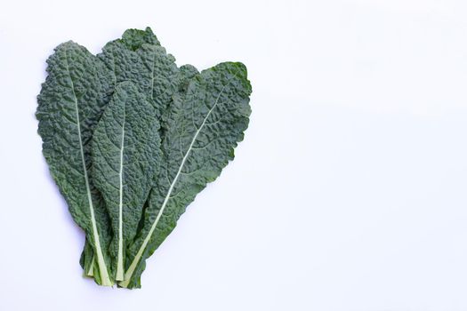 Fresh organic green kale leaves on white background.