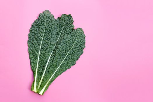 Fresh organic green kale leaves on pink background.