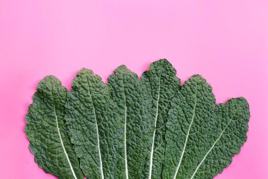 Fresh organic green kale leaves on pink background.