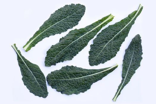 Fresh organic green kale leaves on white background.