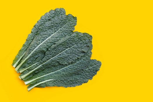 Fresh organic green kale leaves on yellow background.