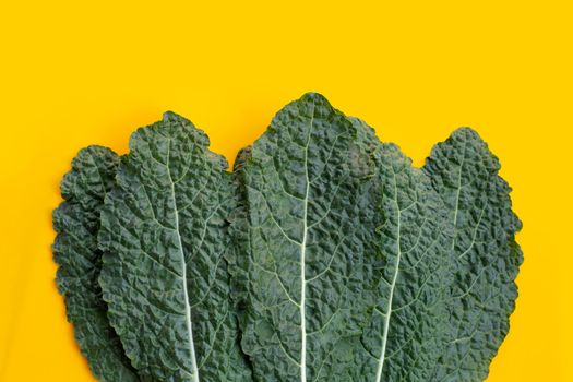 Fresh organic green kale leaves on yellow background.