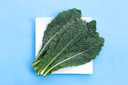 Fresh organic green kale leaves on blue background.