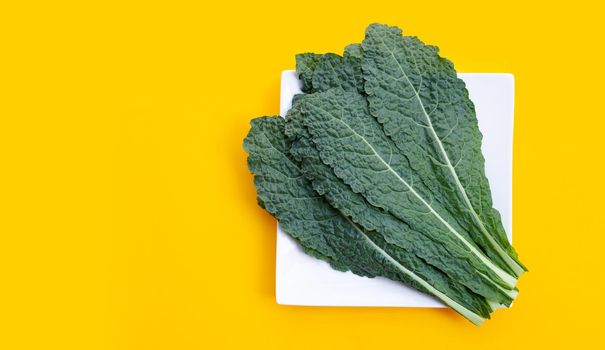 Fresh organic green kale leaves on yellow background.