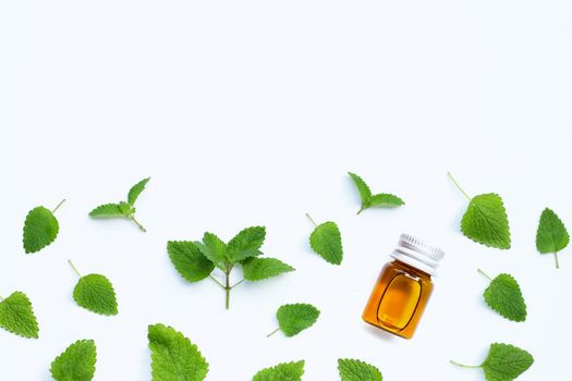 Essential oil bottle with melissa lemon balm fresh leaves on white background.