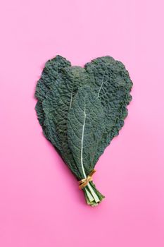 Fresh organic green kale leaves on pink background.