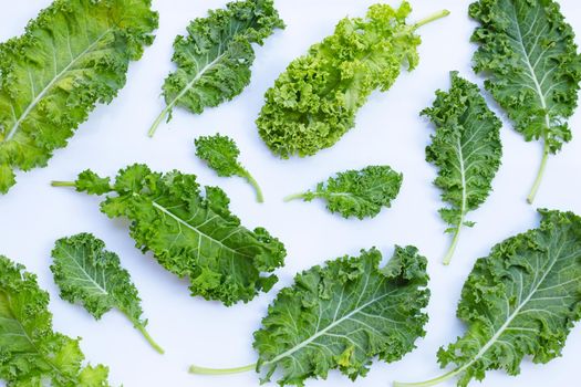 Fresh kale leaves salad vegetable on white background.