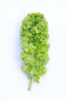 Fresh kale leaves salad vegetable on white background.