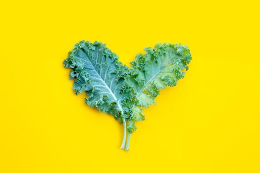 Fresh kale leaves salad vegetable on yellow background.
