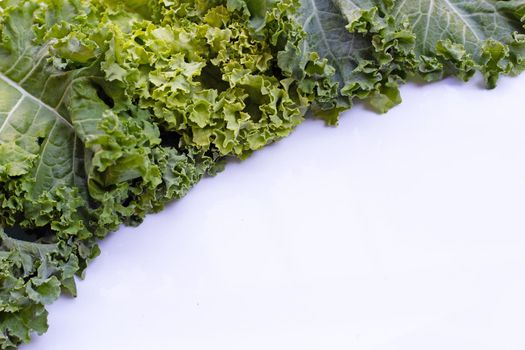 Fresh kale leaves salad vegetable on white background.