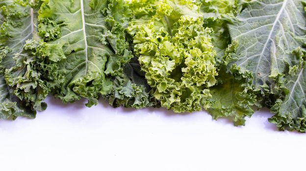 Fresh kale leaves salad vegetable on white background.