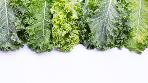 Fresh kale leaves salad vegetable on white background.