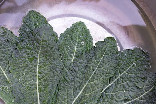 Fresh kale leaves soaked in a white bowl of water. Washing vegetables concept