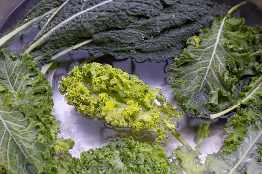 Fresh kale leaves soaked in a white bowl of water