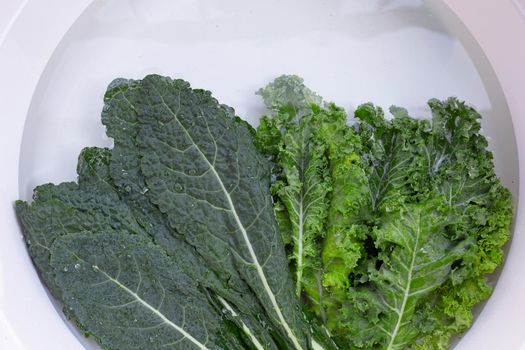 Fresh kale leaves soaked in a white bowl of water. Washing vegetables  concept
