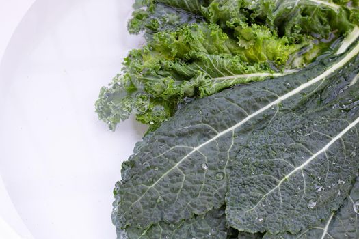Fresh kale leaves soaked in a white bowl of water. Washing vegetables concept