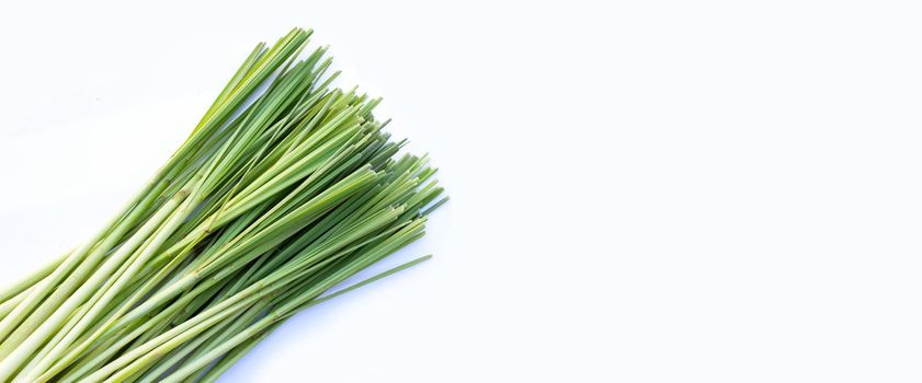 Fresh lemongrass on white background.