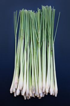 Fresh lemongrass on dark background.