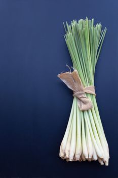 Fresh lemongrass on dark background.