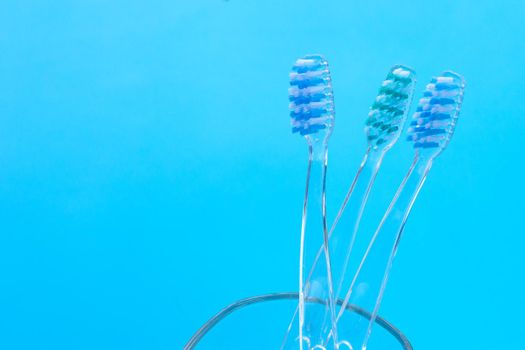 Toothbrushes on blue background. Dental care concept