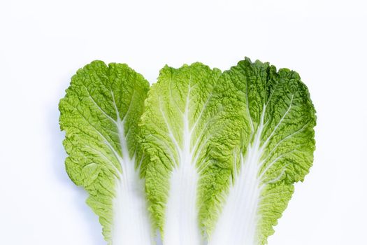 Chinese cabbage on white background. Copy space