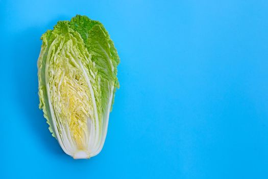 Chinese cabbage on blue background.