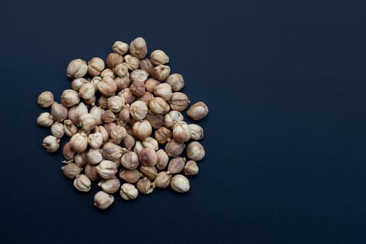 Siam Cardamom or Kapulaga on dark background.