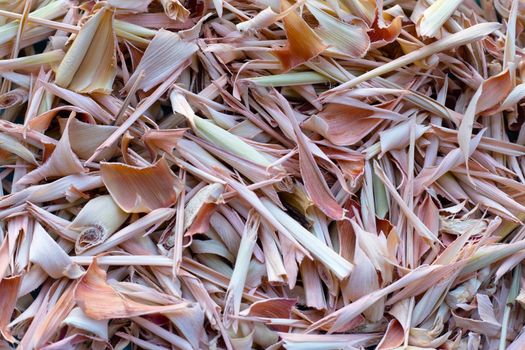 Organic dried lemongrass. Close up