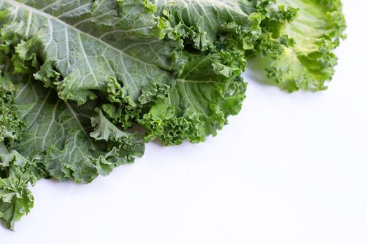 Fresh kale leaves salad vegetable on white background.