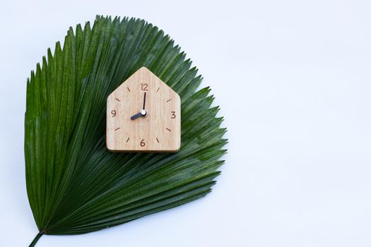 Wooden clock on green leaves on white background. Copy space