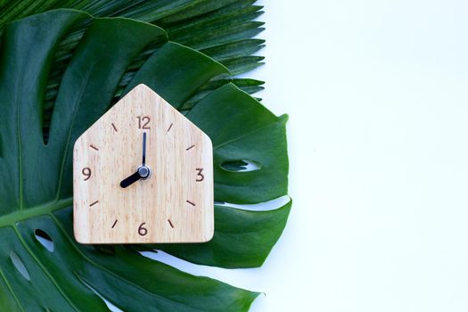 Wooden clock on green leaves on white background. Copy space