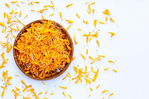 Marigold flower petals on white background.